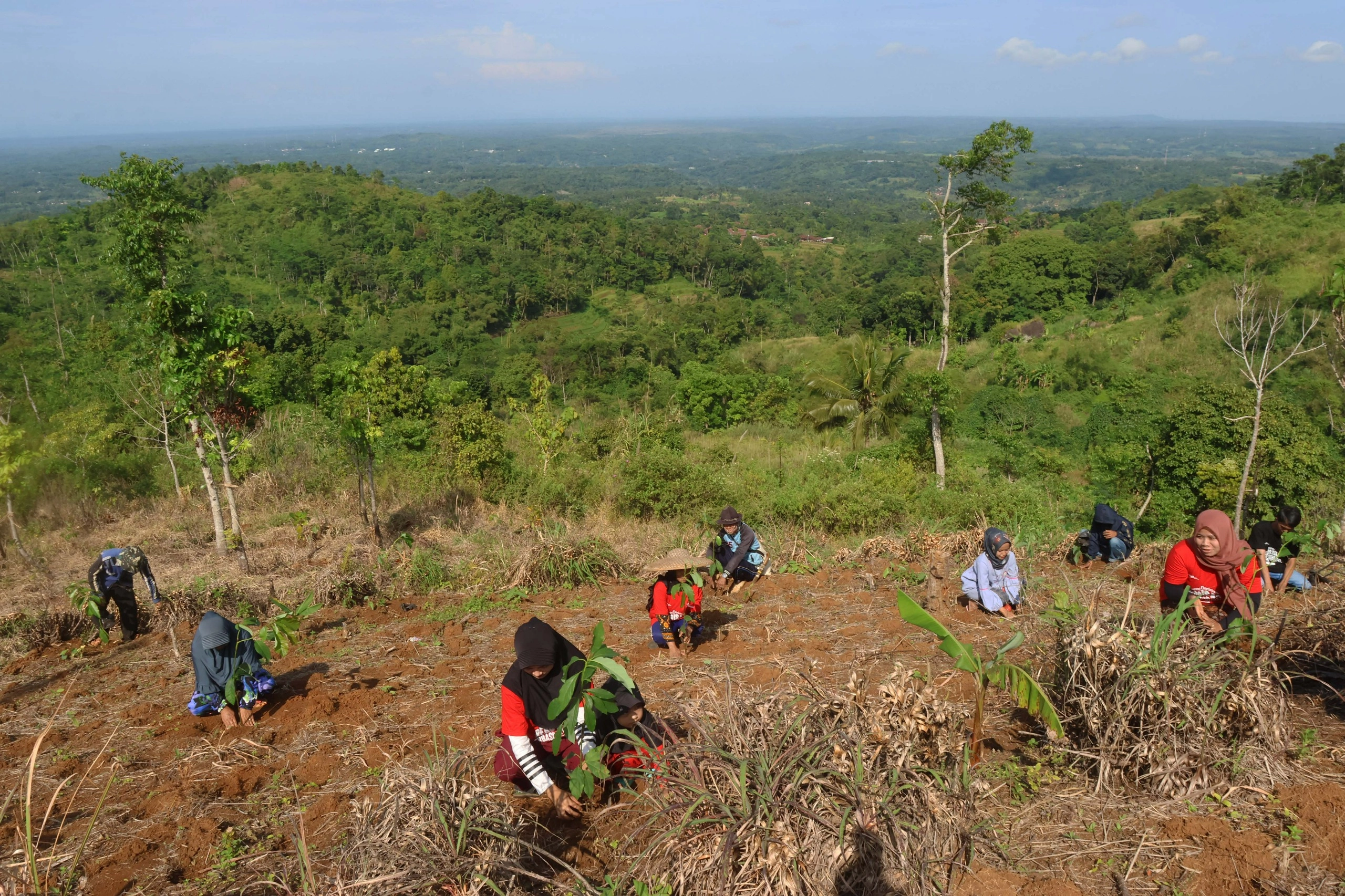 Telkom Dukung Pemulihan 82,1 Ha Lahan Kritis